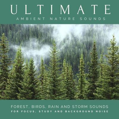 Ultimate Ambient Nature Sounds (XXL Bundle) - Nature Sounds Therapy, Audio, 4066338405715