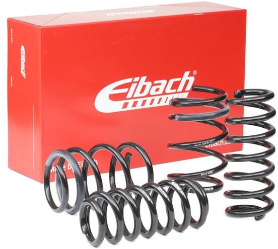 EIBACH E10-15-021-13-22 Suspension kit, coil springs