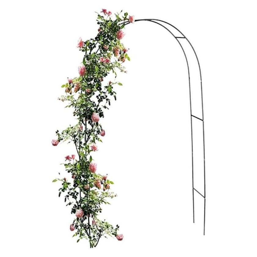 Kinzo Rosenbogen 240x140cm Gartentor (240 cm, 140 cm) (49598176)