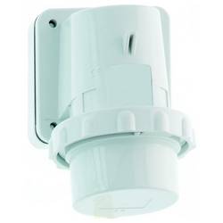 Bals Elektrotechnik 2492 2492 CEE Wandstecker 1 St.