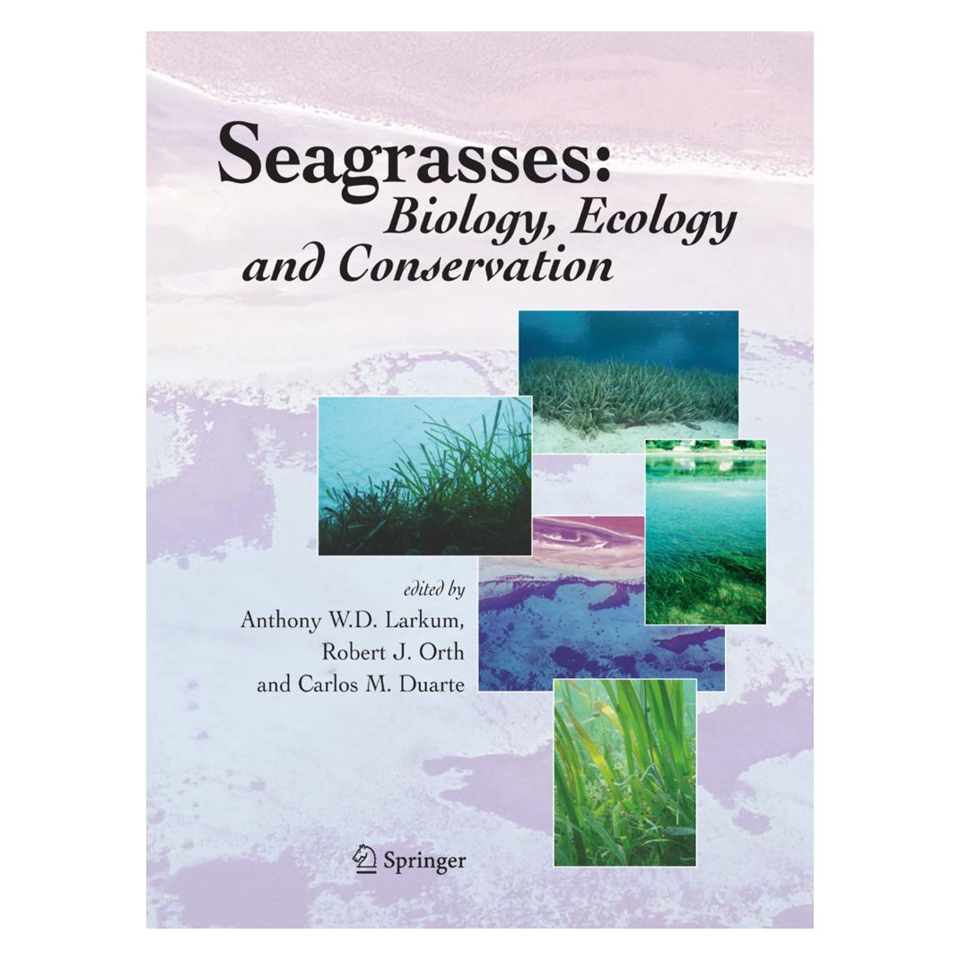 Springer Seagrasses: Biology, Ecology and Conservation (Englisch, Softcover, Anthony W. D. Larkum, Carlos, Duarte, J Orth, Robert) (55378157)