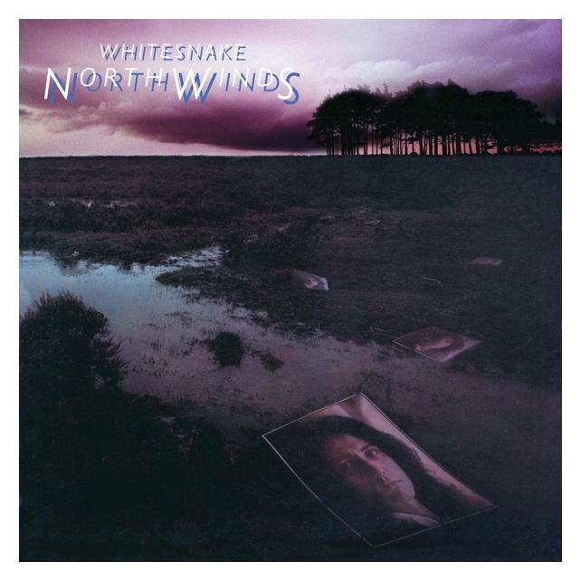 Rhino Northwinds(Black Ice Vinyl) (Whitesnake) (49627254)