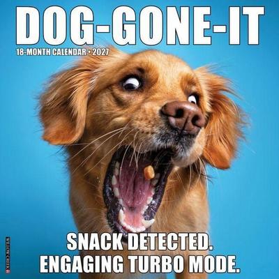Dog-Gone-It 2027 12 X 12 Wall Calendar