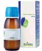 BOIRON Srl VITIS VINIFERA 1DH MG 60ml