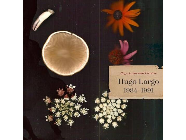 Huge, Large And Electric: Hugo Largo 1984-1991