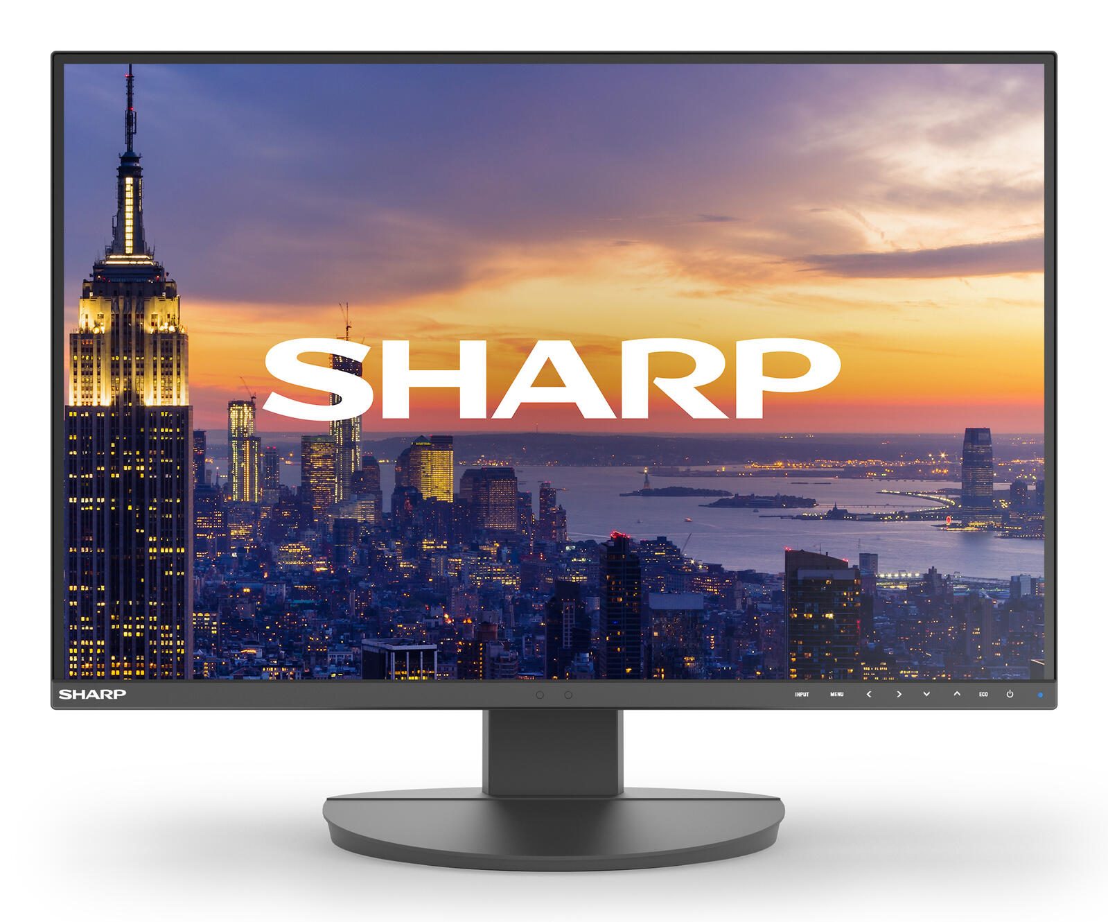 Sharp Display Solutions Sharp MultiSync EA242W Full HD Display 61 cm (24") DDEA242W