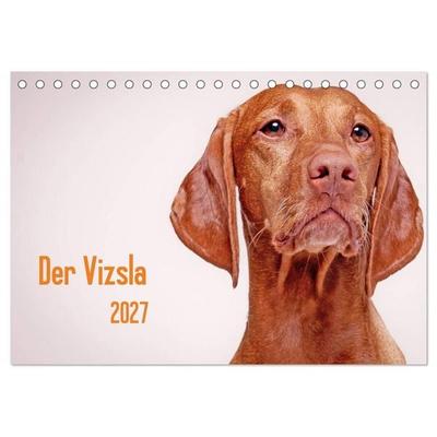 Der Vizsla 2027 (Tischkalender 2027 DIN A5 quer), CALVENDO Monatskalender