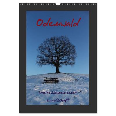Odenwald - Impressionen einer Landschaft (Wandkalender 2026 DIN A3 hoch), CALVENDO Monatskalender