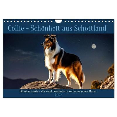 Traumhund Collie (Wandkalender 2027 DIN A4 quer), CALVENDO Monatskalender