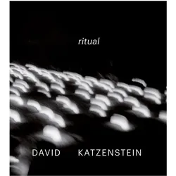 David Katzenstein, Fachbücher von David Katzenstein