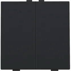 Niko Züblin 161-51002 Zweifach Taster für Niko Home Control, black coated 16151002