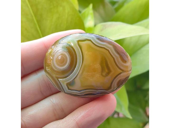 Pierres de palmier en agate naturelle pure, pierres brutes pour soulager le stress, porte-bonheur, attirer la richesse, accessoires de décoration DIY pour la maison