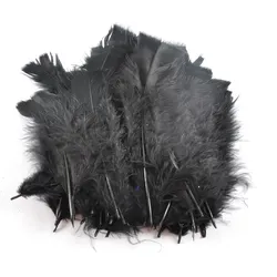 Bastelfedern Schwarz 35 Stück - Weiche Federn für DIY-Projekte, Dekoration & Handwerk - Länge 17cm - Vielseitiges Bastelzubehör für Masken, Traumfänger & Wandschmuck