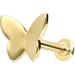 14 Karat Gold Labret mit Push Fit SCHMETTERLING