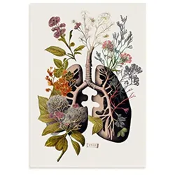 POSTER Set Mit 4 Anatomie Bronchien A4 Rahmenlos