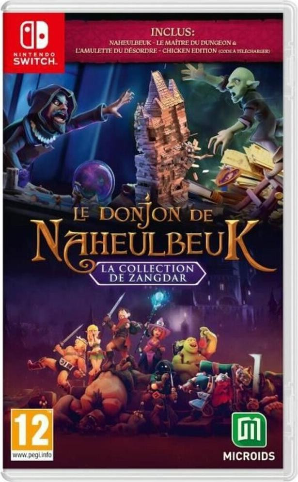 Microids The Dungeon of Naheulbeuk: The Collection of Zangdar voor Nintendo Switch Fysiek medium