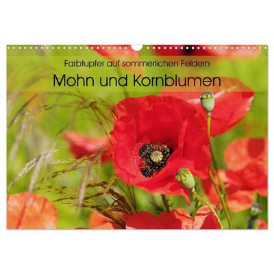 Farbtupfer auf sommerlichen Feldern - Mohn und Kornblumen (Wandkalender 2026 DIN A3 quer), CALVENDO Monatskalender