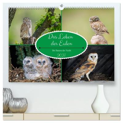 Das Leben der Eulen, die Damen der Nacht (hochwertiger Premium Wandkalender 2027 DIN A2 quer), Kunstdruck in Hochglanz