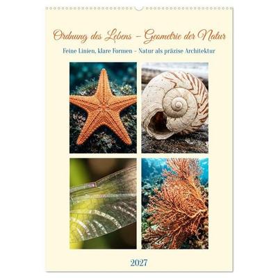 Ordnung des Lebens – Geometrie der Natur - Feine Linien, klare Formen – Natur als präzise Architektur (Wandkalender 2027 DIN A2 hoch), CALVENDO