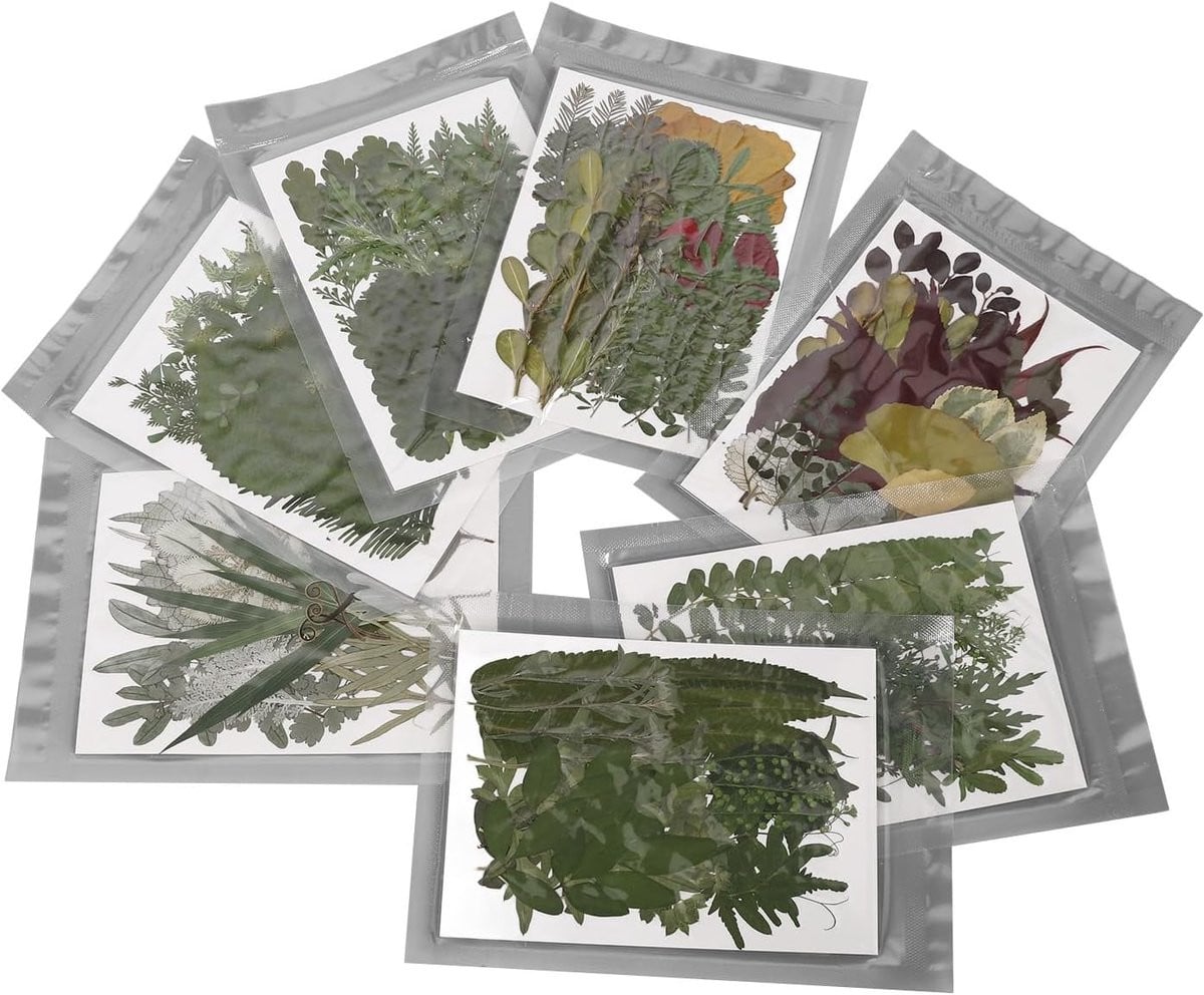 Set van 245 handgemaakte kleurrijke gedroogde bloemen voor decoratie