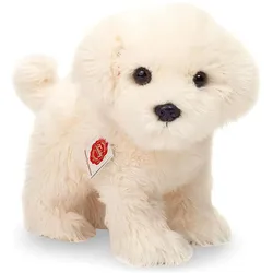 Teddy Hermann Malteser (23 cm)