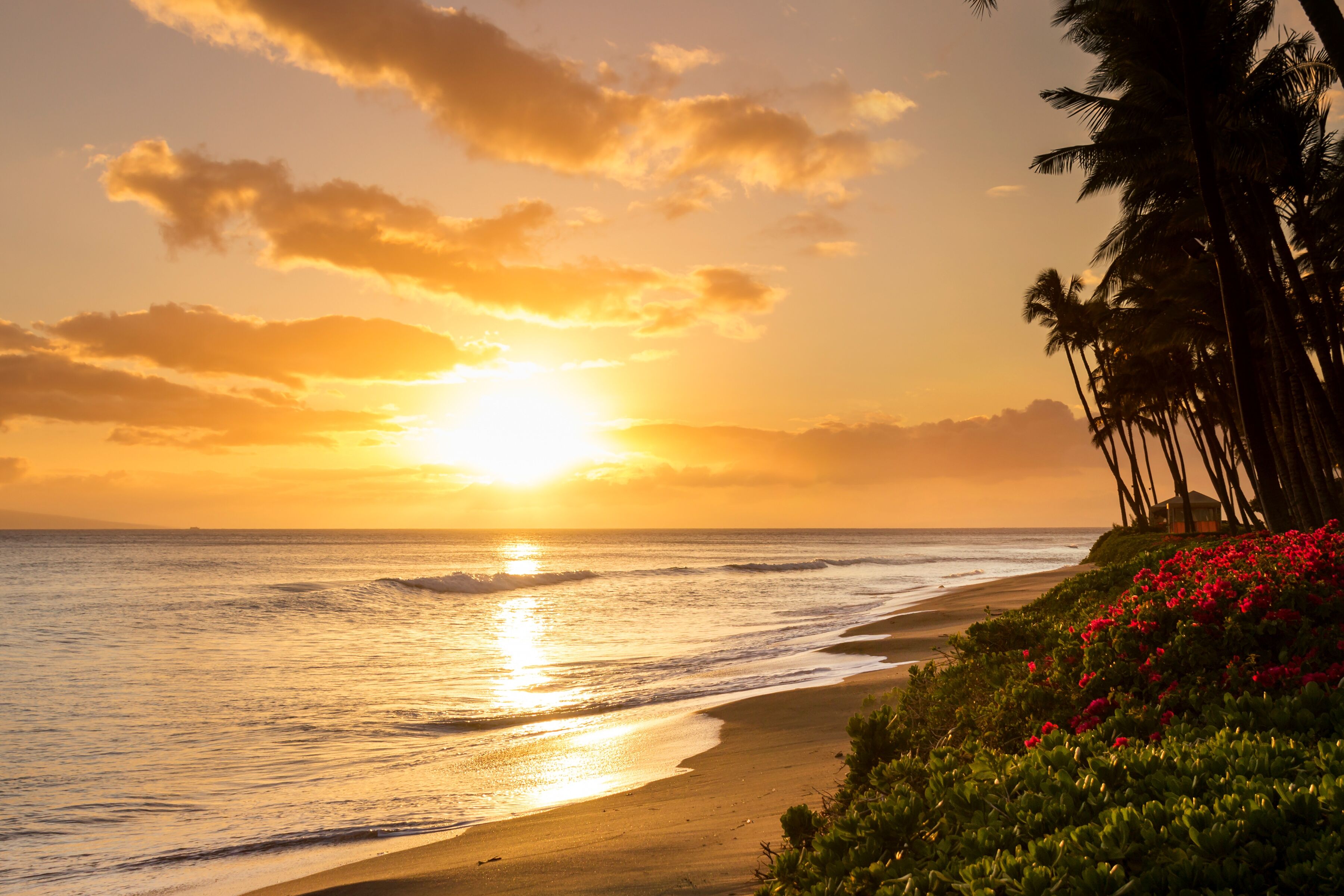 Fototapete PAPERMOON "Tropical Sunset Kaanapali Beach", bunt, B:3m L:2,23m, Vlies, Tapeten, Fototapete