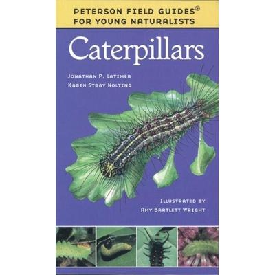 Caterpillars, Taschenbuch von Karen Stray Nolting,Amy Bartlett Wright, Houghton Mifflin Company, 978-0-395-97945-7