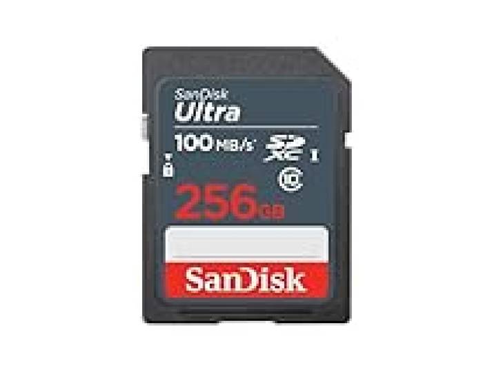 SanDisk Ultra 256GB SDXC Memory Card, up to 100MB/s, Class 10, Black/Grey