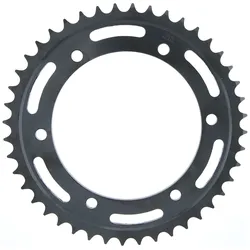 RK Kettenrad 6842 44 Zähne