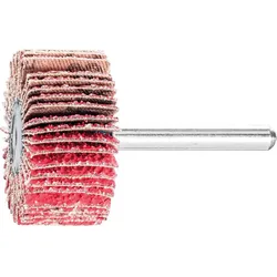 Fächerschleifer Pferd F, Ø 40 x 20 mm, Schaft-Ø 6 mm, Körnung A 40