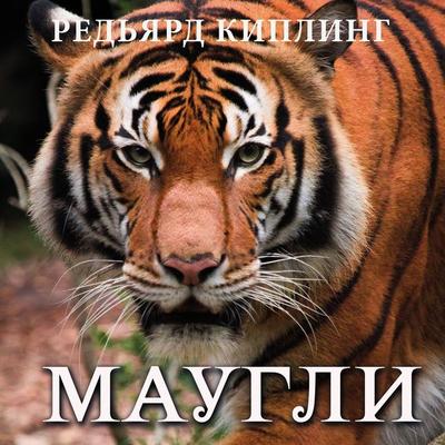 Mowgli - Rudyard Kipling, Audio, 4099995628906