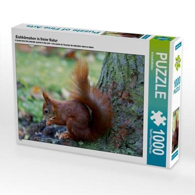 CALVENDO Puzzle Eichhörnchen in freier Natur | 1000 Teile Lege-Größe 64x48cm Foto-Puzzle für glückliche Stunden