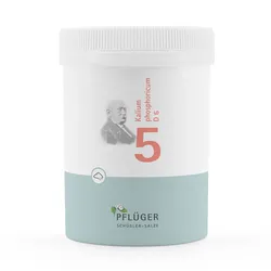 BIOCHEMIE Pflüger 5 Kalium phosphoricum D 6 Pulver 250 g