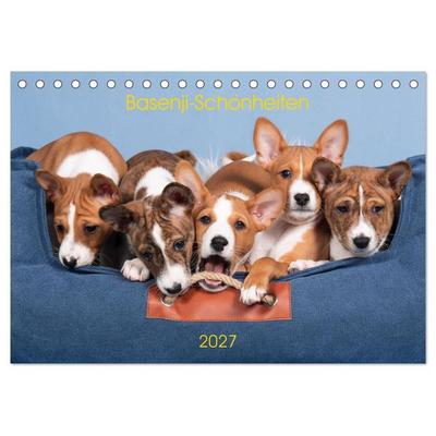 Basenji-Schönheiten (Tischkalender 2027 DIN A5 quer), CALVENDO Monatskalender
