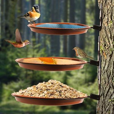Am Baum montiertes Vogelhäuschen, Vogelbad, installiert an Holzzaunwand, Baumdeckpfählen mit robustem Eisenring, Bäumen, Deck, Innen- und Außenwänden
