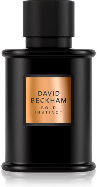 David Beckham Bold Instinct Eau de Parfum pour homme 50 ml