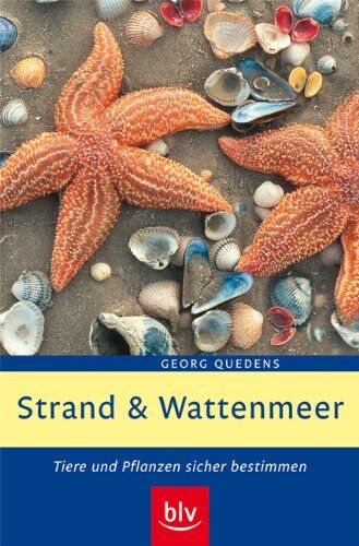 Georg Quedens - Strand und Wattenmeer: Tiere und Pflanzen sicher bestimmen - Preis vom 09.10.2026 07:28:09 h