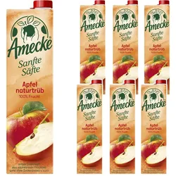 Amecke Sanfte Säfte Apfel naturtrüb Direktsaft