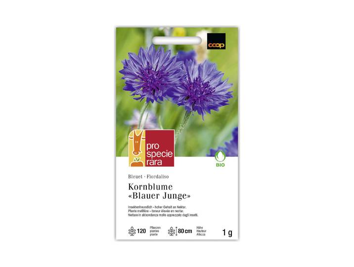 ProSpecieRara Bio Kornblume Blauer Junge
