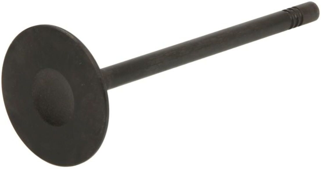 Einlaßventil FRECCIA R8025/SNT