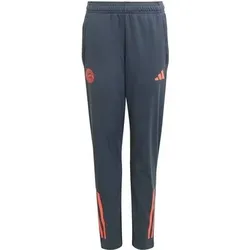 ADIDAS Kinder Fanhose FC Bayern München Tiro 25 Competition Kids, Größe 176 in Grau Grau