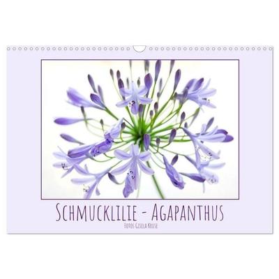 Schmucklilie - Agapanthus (Wandkalender 2027 DIN A3 quer), CALVENDO Monatskalender