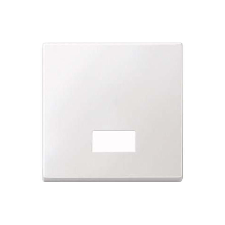 Merten Wippe Symbol Fenster pws rechteckig 434819)