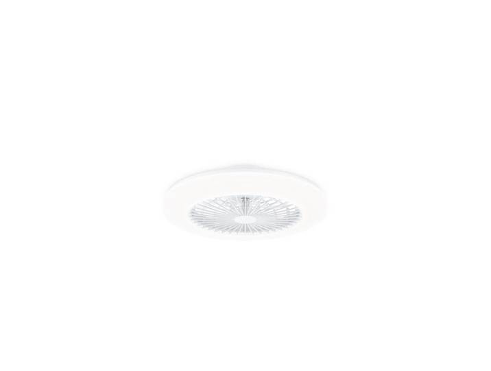 Philips Amigo ceiling lamp with fan 42+20W 2700/4400/6500K white