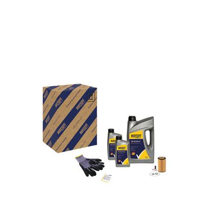 HENGST FILTER Teilesatz, Inspektion kit867 für Chrysler Fiat Mercedes NISSAN