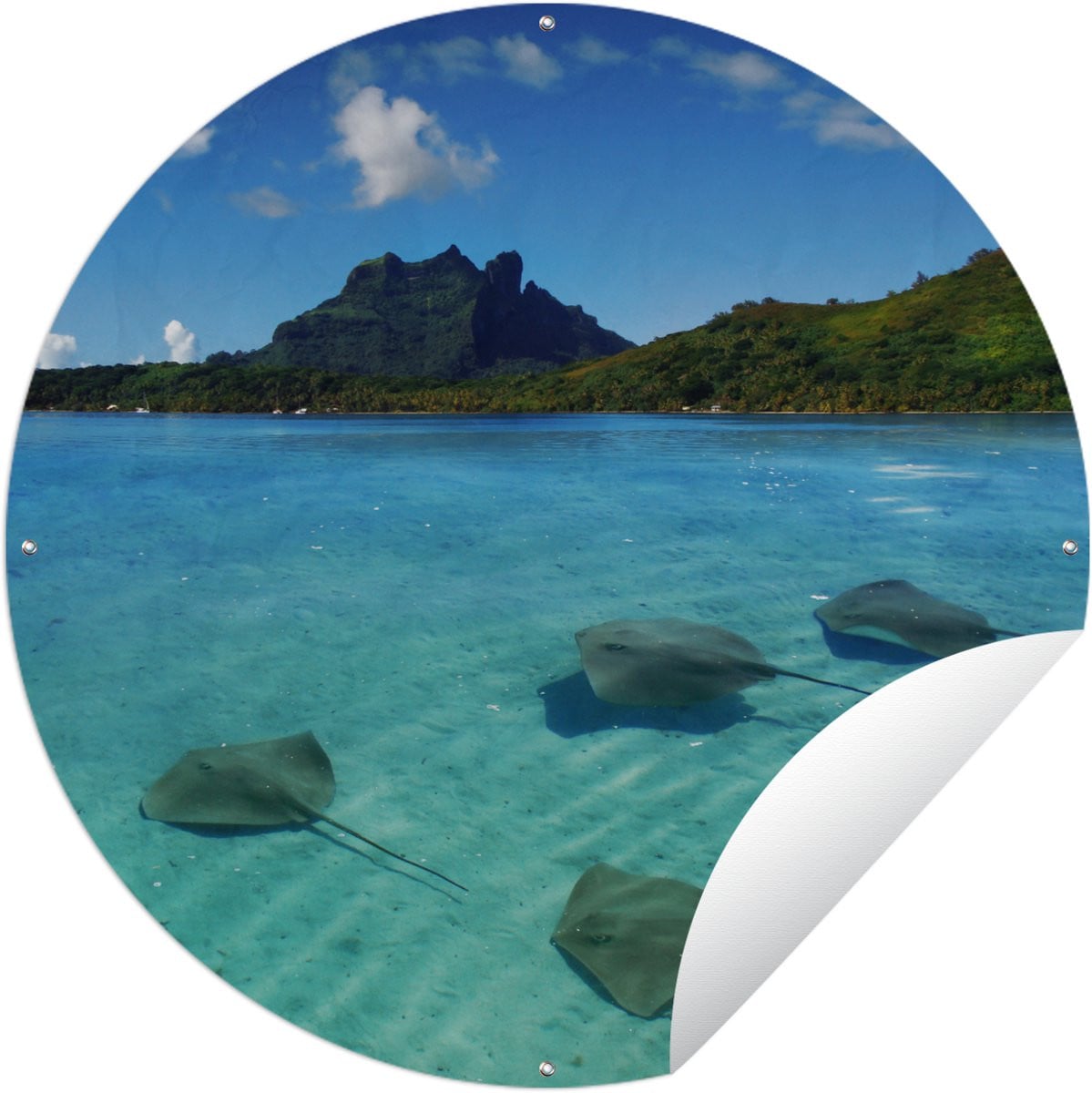 Ronde Tuinposter Pijlstaartroggen Bora Bora - 90 x 90 cm