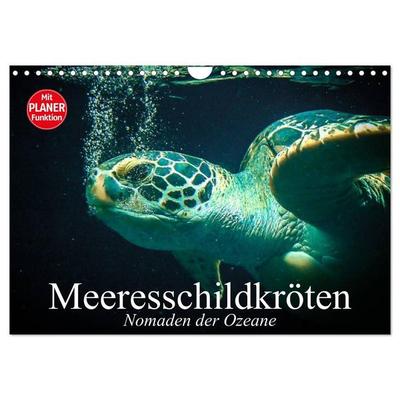 Meeresschildkröten. Nomaden der Ozeane (Wandkalender 2027 DIN A4 quer), CALVENDO Monatskalender