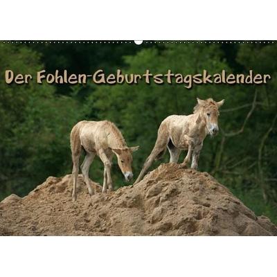Der Fohlen-Geburtstagskalender (Wandkalender immerwährend DIN A2 quer)