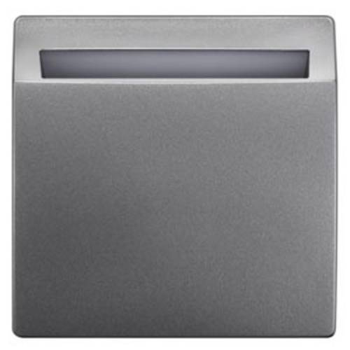 Siemens Schalterprogramm Platin 5TG48301 1St.