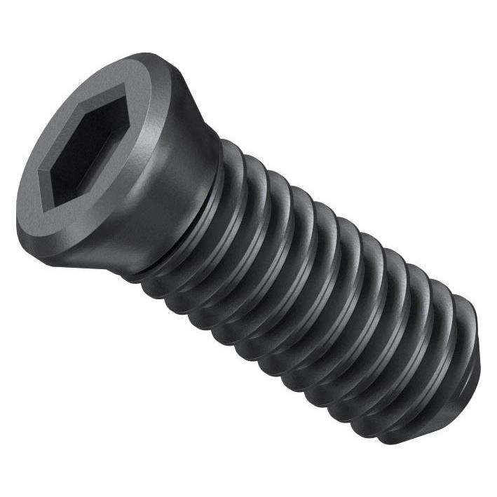 Fein Klemmschraube KX, VE 10 St (31350075000)